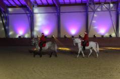 Mini IMG 5940